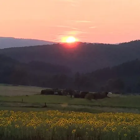 Sauerlandblick Apartamento