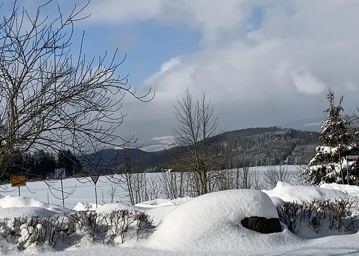 Sauerlandblick Lägenhet