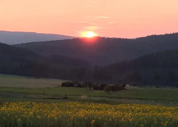 Sauerlandblick Lägenhet